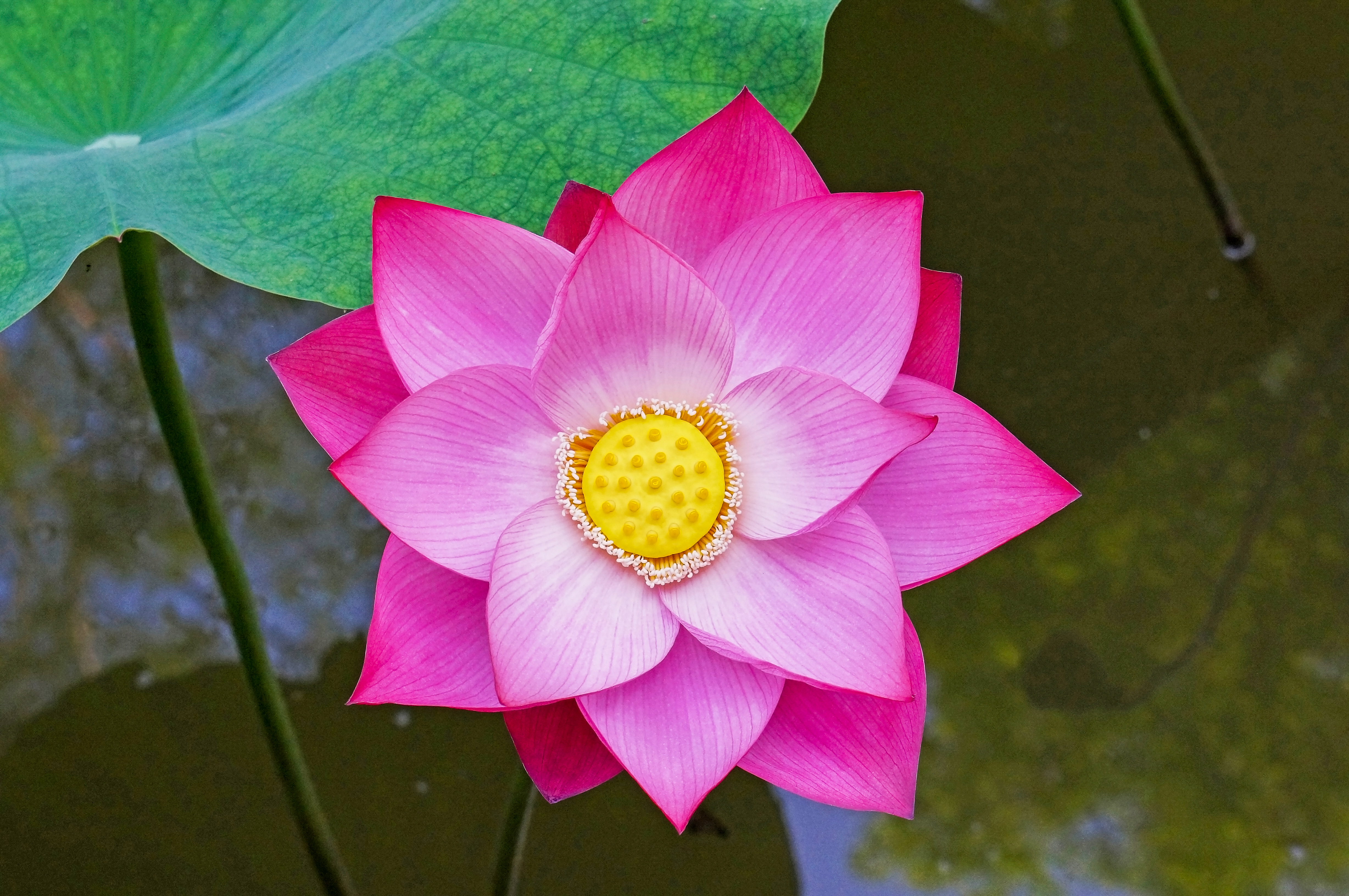 Why Spiritual Coaching?